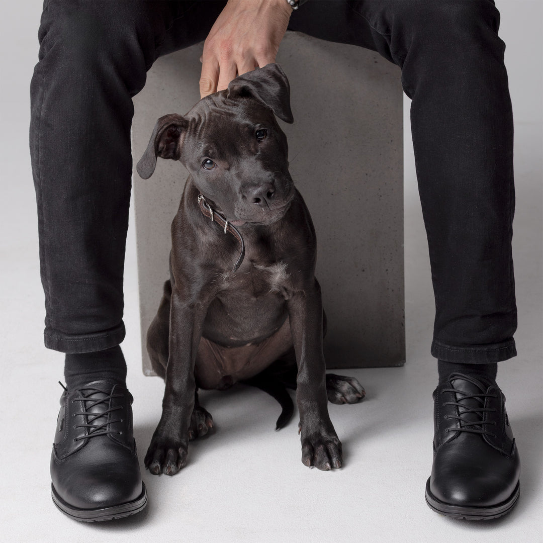 NEVA Miesten GORE-TEX® kävelykengät