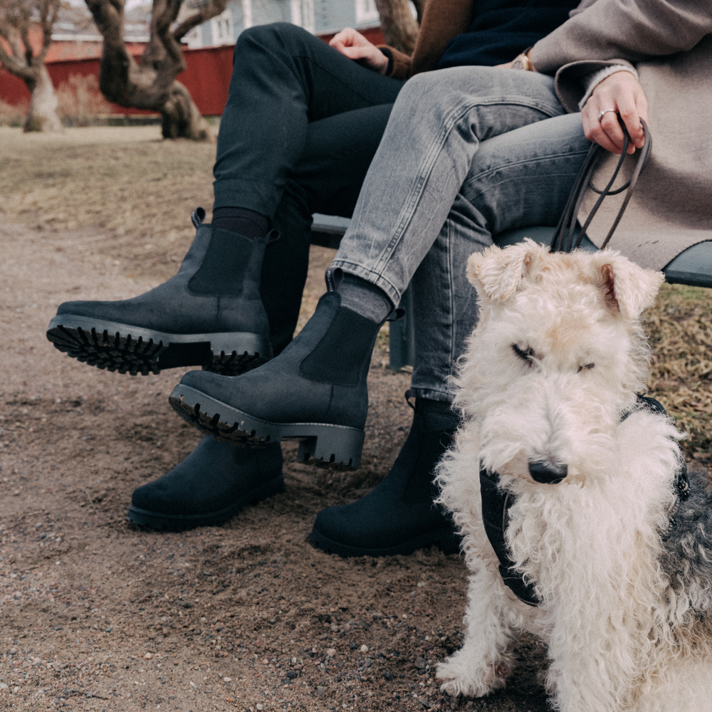 Kaksi henkilöä istuu ulkona penkillä koiransa kanssa, jalassaan KOSMOS miesten ja NEITO naisten Chelsea tyyliset nilkkurit.