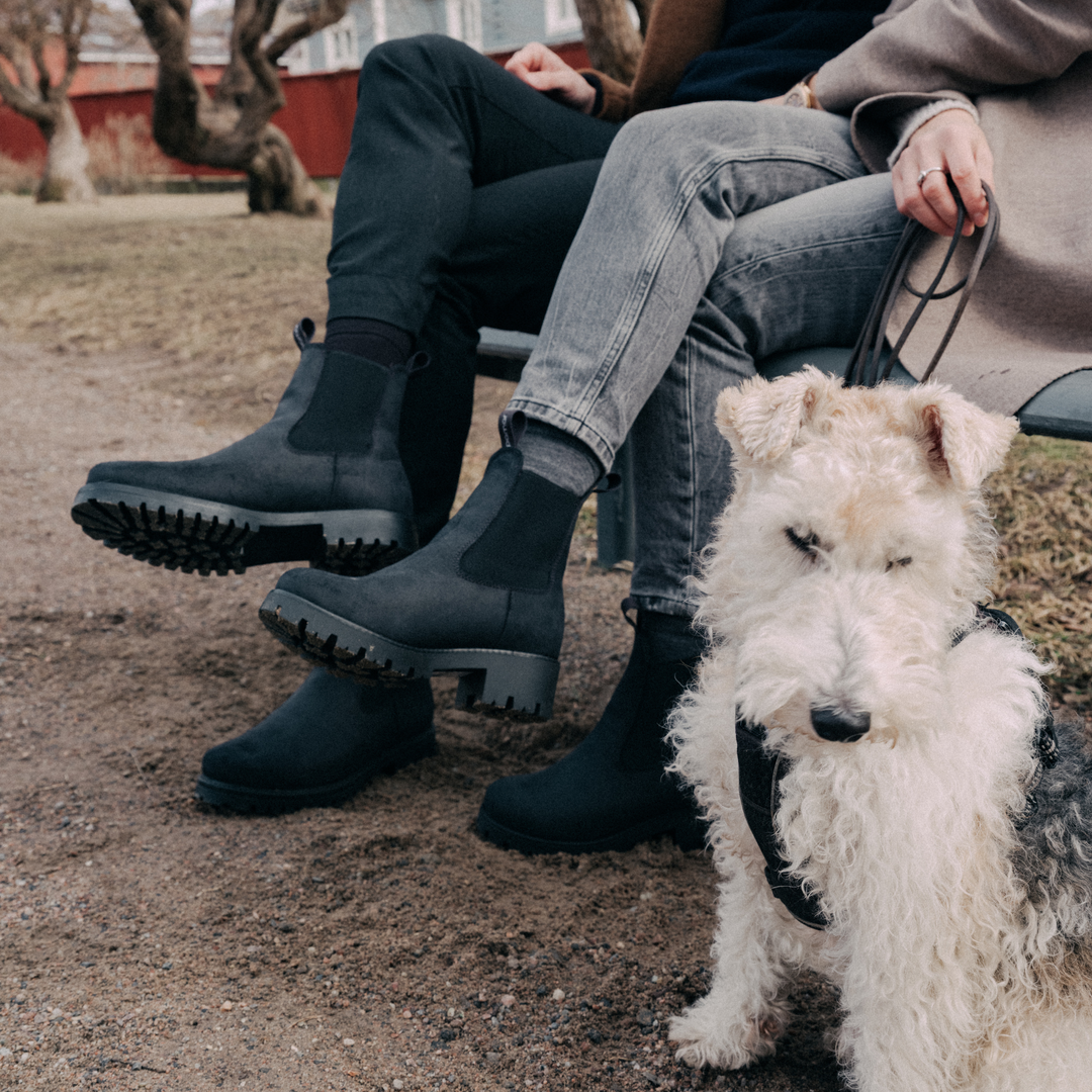 Kaksi henkilöä istuu ulkona penkillä koiransa kanssa, jalassaan KOSMOS miesten ja NEITO naisten Chelsea tyyliset nilkkurit.